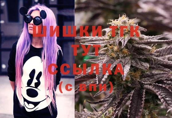 spice Тихвин
