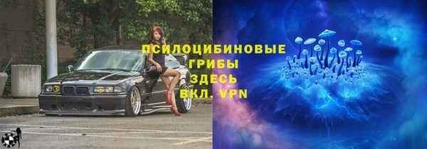 spice Тихвин