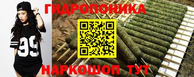 гидра Берёзовский