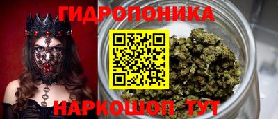 гидра Берёзовский
