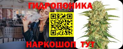 гидра Берёзовский