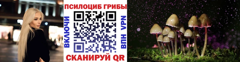 Галлюциногенные грибы Magic Shrooms  Зеленокумск 