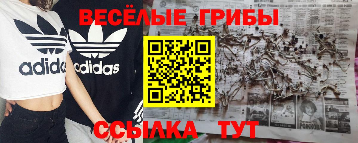 Псилоцибиновые грибы прущие грибы Зеленокумск