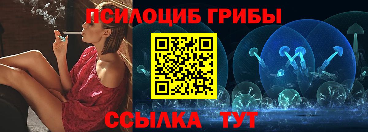 Галлюциногенные грибы Psilocybine cubensis  цены наркотик  Вход с VPN  Зеленокумск  Галлюциногенные грибы Cubensis 